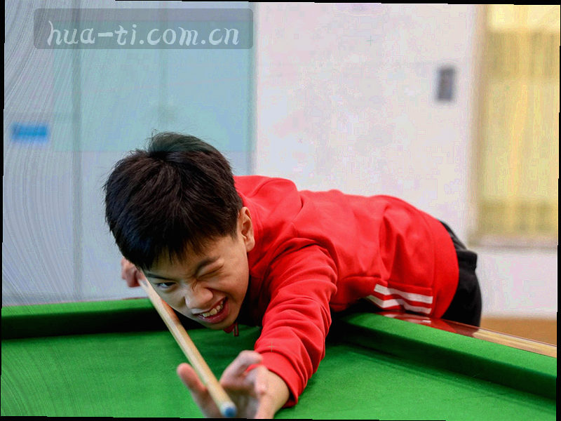 档案卡片与分类标签组成的抽象封面纹理